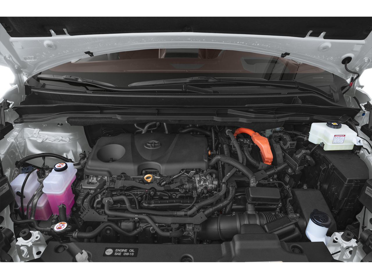 2026 Toyota Sienna Platinum 7 Passenger