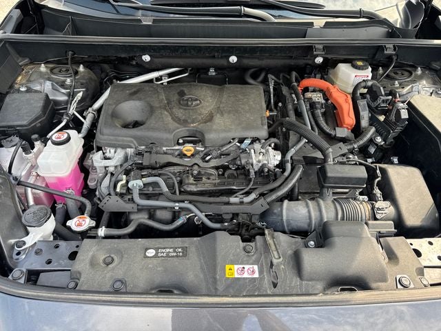 2024 Toyota RAV4 Hybrid XLE Premium