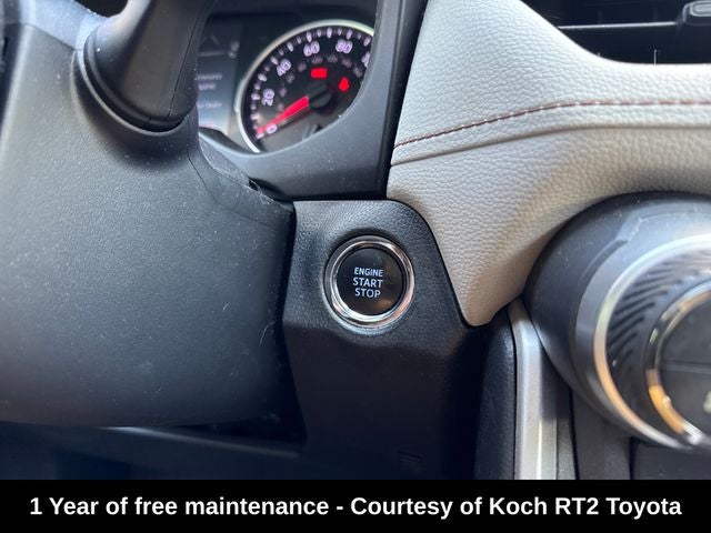 2019 Toyota RAV4 XLE