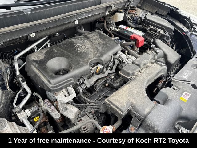 2019 Toyota RAV4 XLE