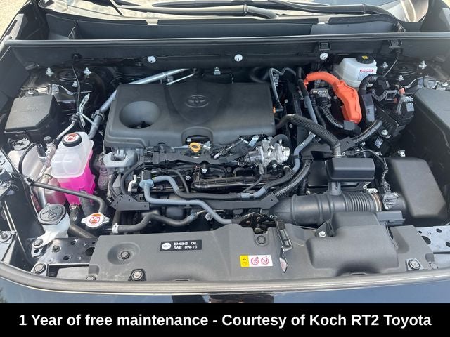 2024 Toyota RAV4 Hybrid XLE
