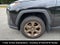 2023 Toyota RAV4 Hybrid Woodland Edition