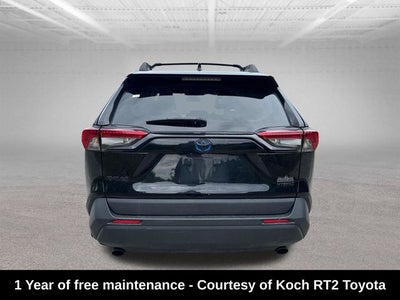 2023 Toyota RAV4 Hybrid Woodland Edition