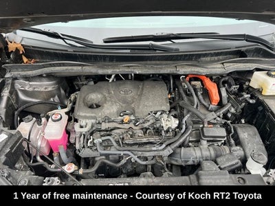 2023 Toyota Sienna LE 8 Passenger