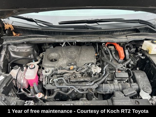 2023 Toyota Sienna LE 8 Passenger