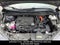 2023 Toyota Sienna XLE 7 Passenger