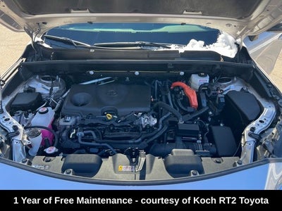 2024 Toyota Venza XLE